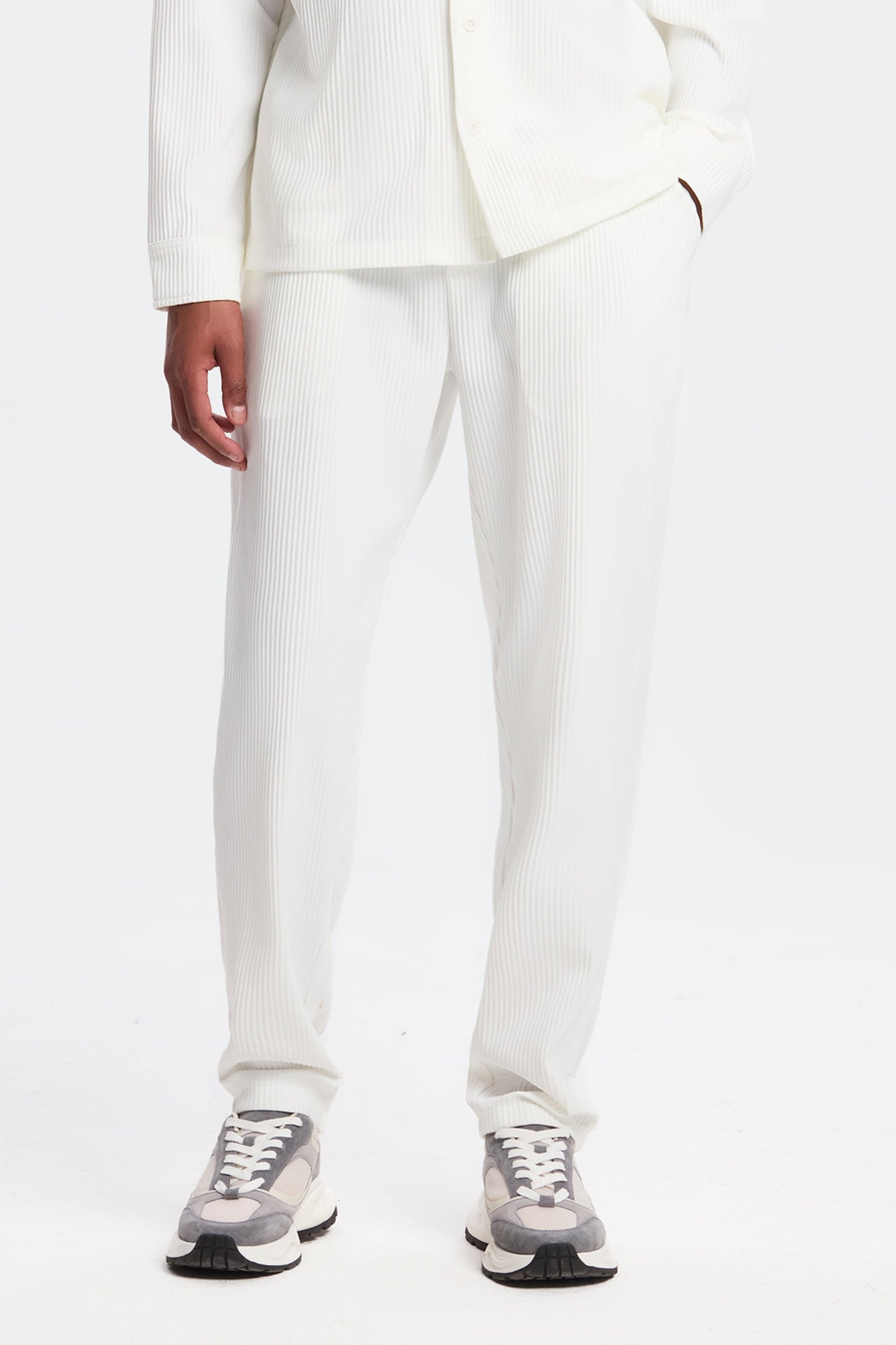 THE PLEATED TROUSERS