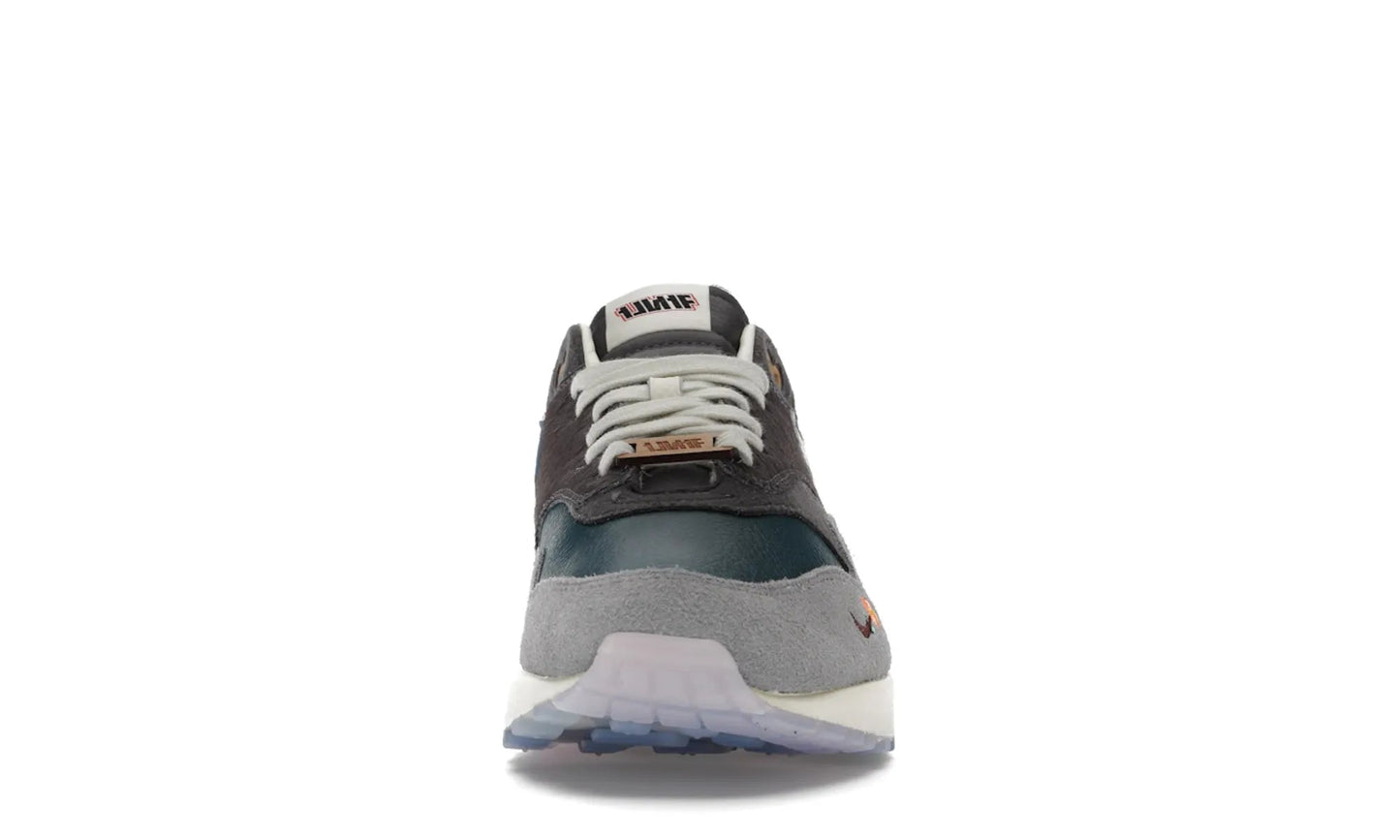 Nike Air Max 1 Kasina Won-Ang Grey