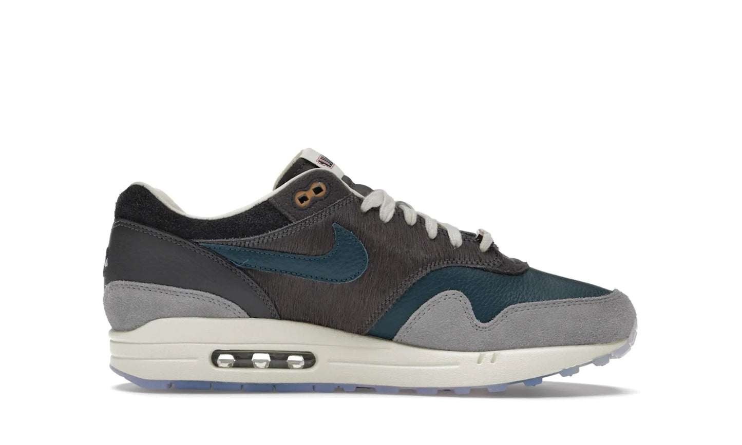Nike Air Max 1 Kasina Won-Ang Grey