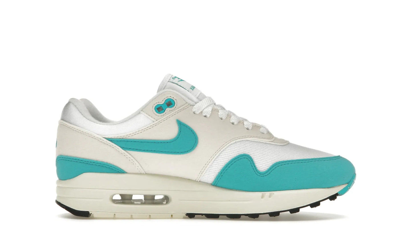 Nike Air Max 1 Dusty Cactus